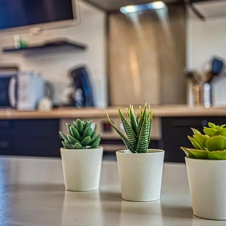 アパート Esprit Bd & Confort A - Comme A La Maison *