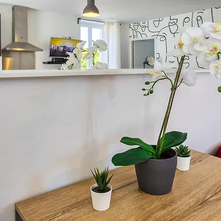 Apartamento De Chez Lambert Aseptisé Et Prêt T3 50m2 Netflix - *